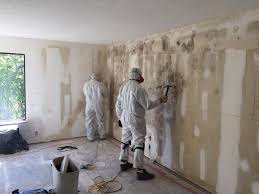 Best Mold Remediation for Rental Properties  in Cleveland, WI